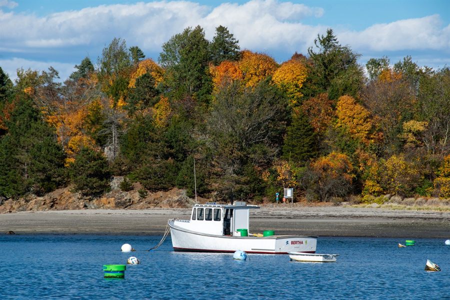 Fishing boat moored below autumn trees in Marblehead Harbor, Massachusetts