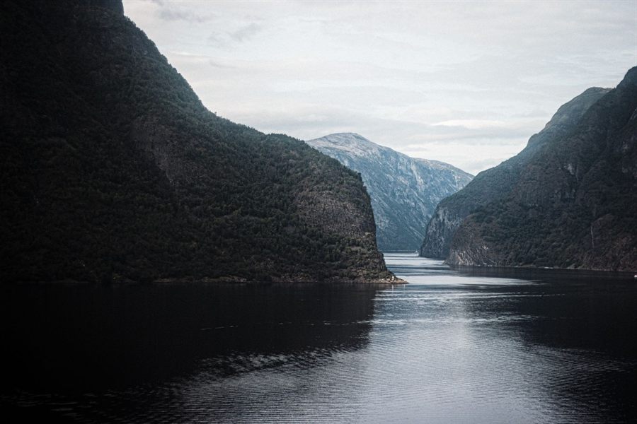 Steep green mountainsides above the still water of a fjord
